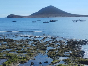 Medano beach